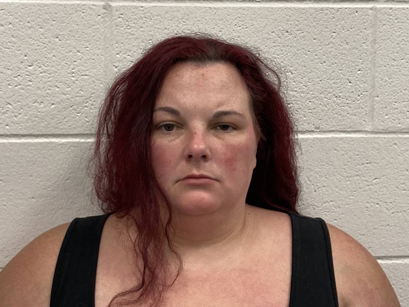 Booking photo of Ashley Brown