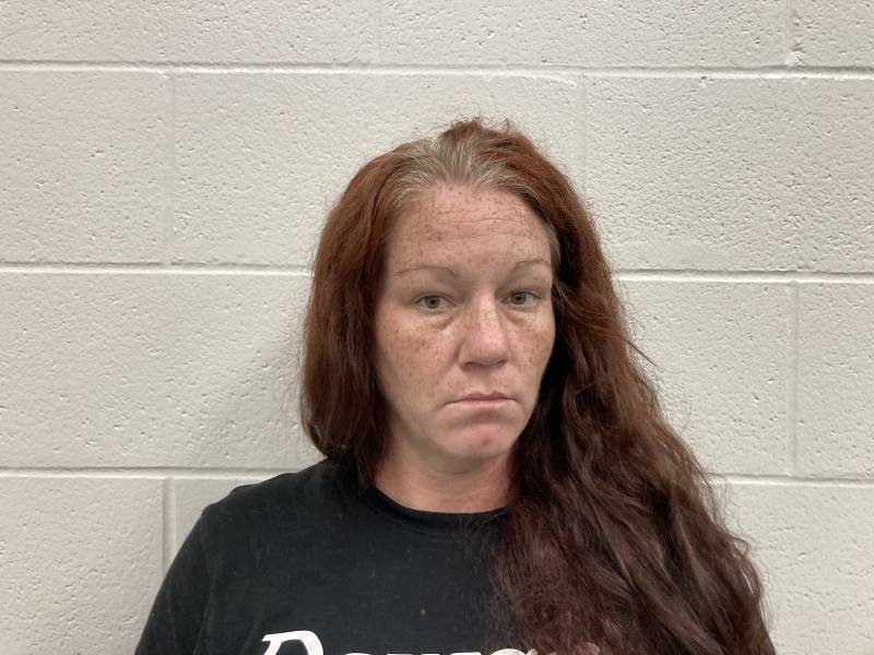 Booking photo of Meggi Mulligan