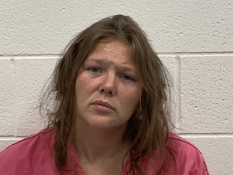 Booking photo of Cheyenne Morrisson