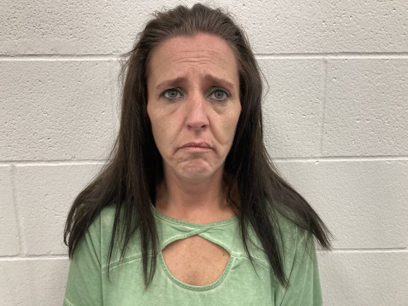 Booking photo of Tara Paynter
