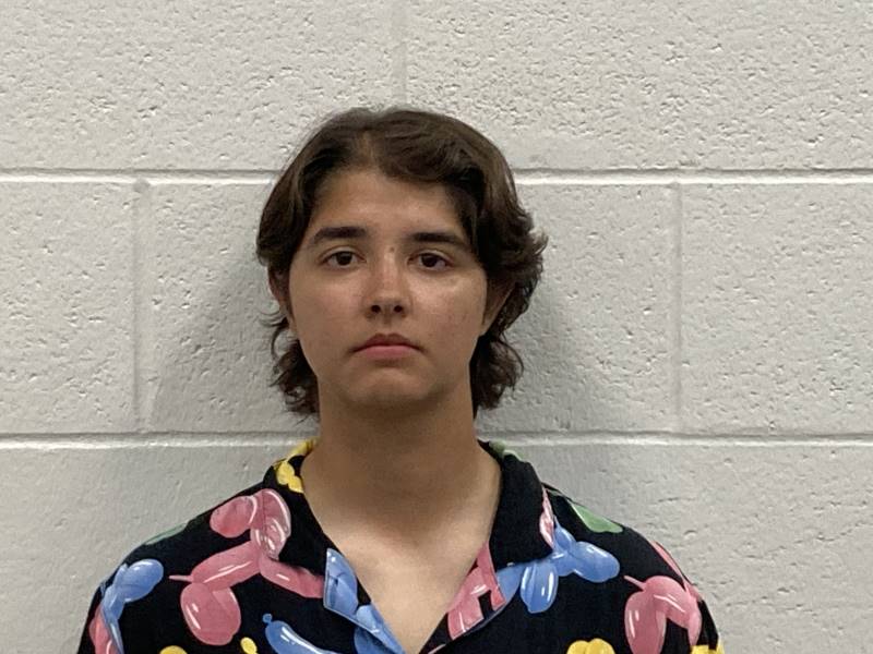 Booking photo of Alicia Rodiz