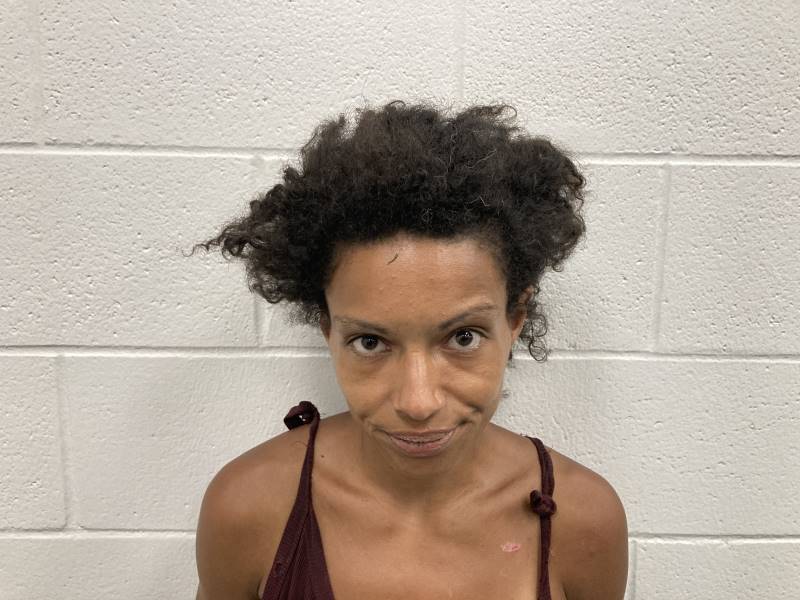 Booking photo of Chynna Lee