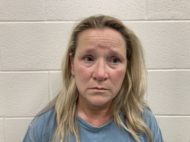 Booking photo of Lisa Campbell