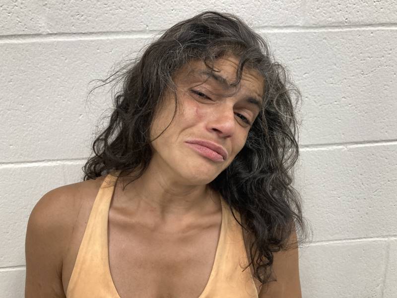 Booking photo of Sandra Caterina