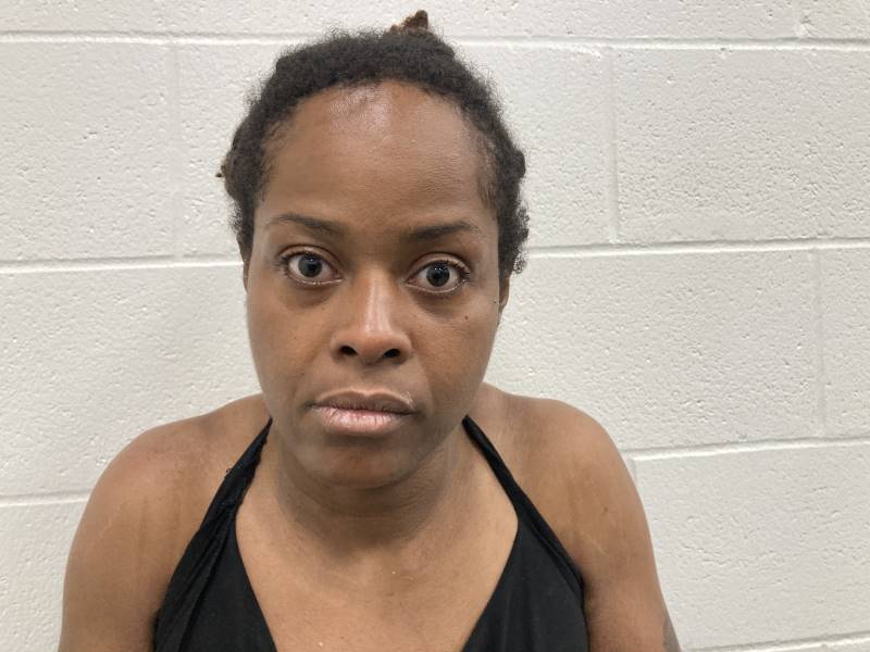 Booking photo of Renee Wilson