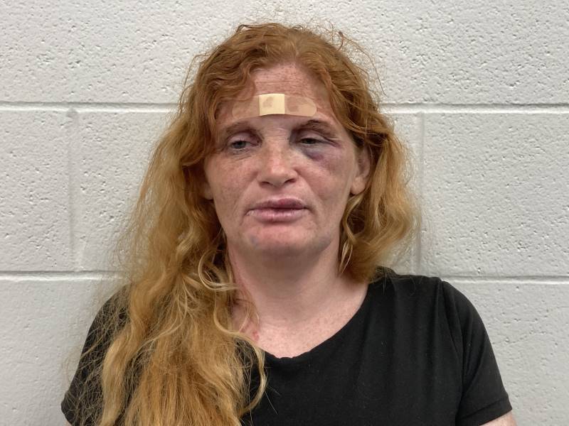 Booking photo of Lisa Legner