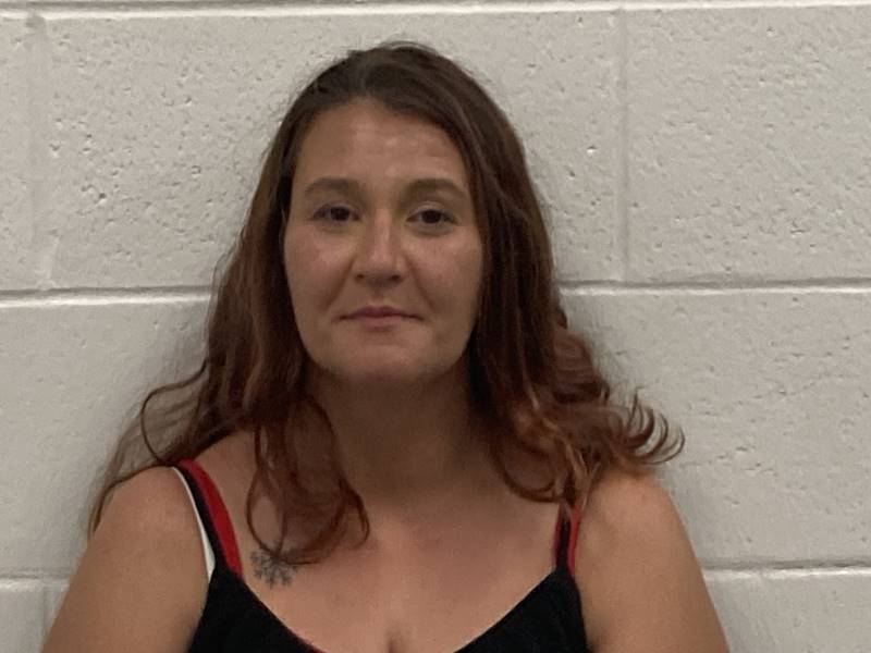 Booking photo of Carissa Phipps