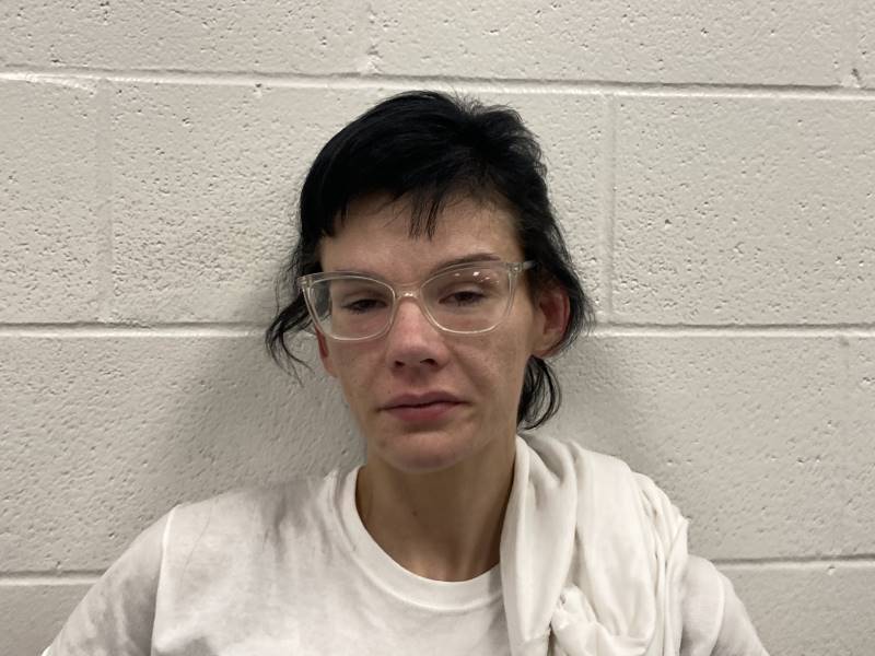 Booking photo of Lynn Wayson