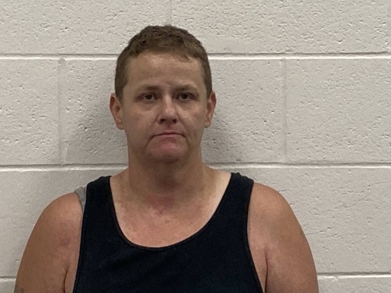 Booking photo of Lisa Smith