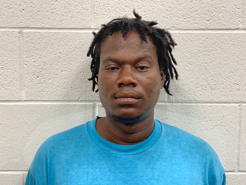 Booking photo of Dominique Richardson