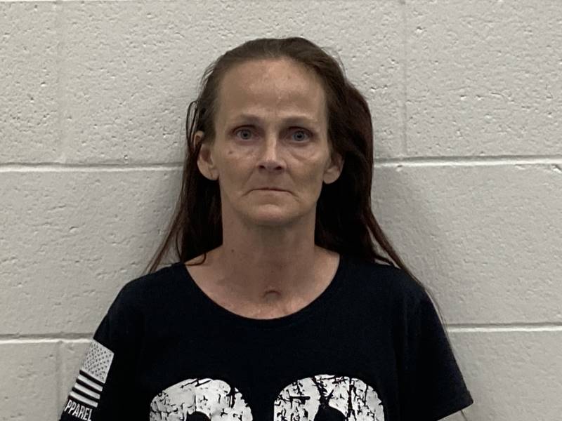 Booking photo of Sara Sweeney