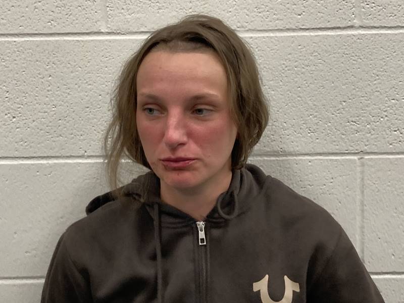 Booking photo of Mckenzie Hensley
