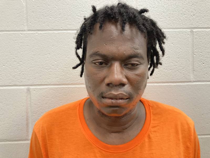 Booking photo of Dominique Richardson