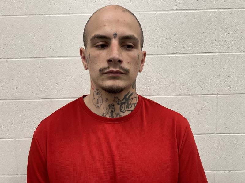 Booking photo of Baylee Reynolds
