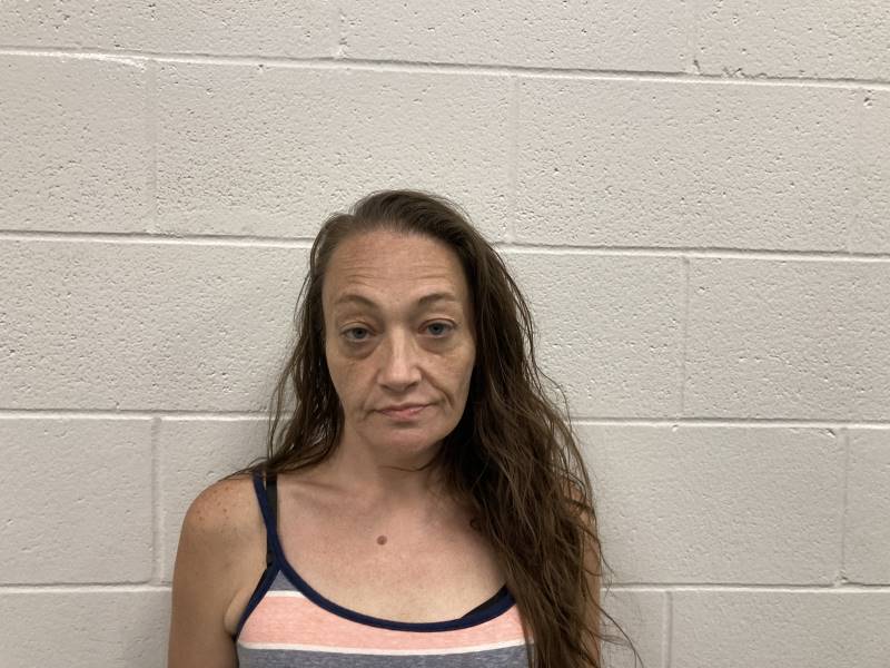 Booking photo of Toni Scharf