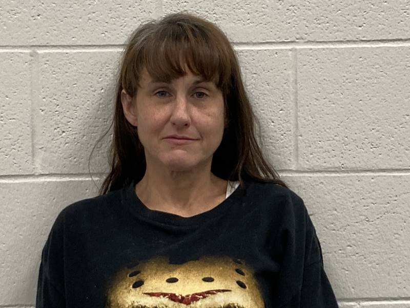Booking photo of Danielle Hisle