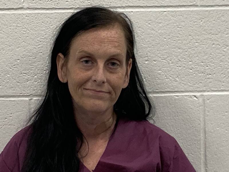 Booking photo of Tina Hensley