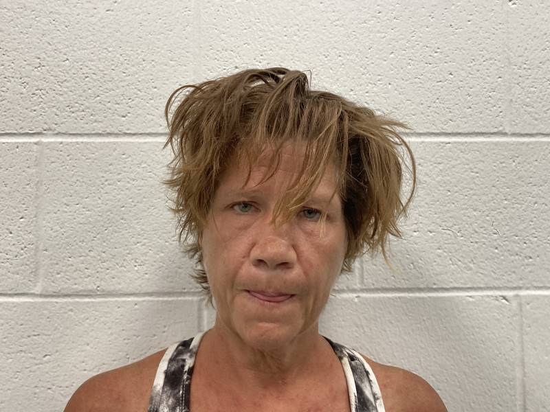 Booking photo of Heather Drews