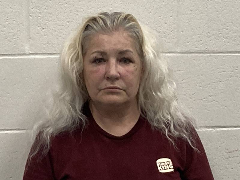 Booking photo of Melissa Ellis