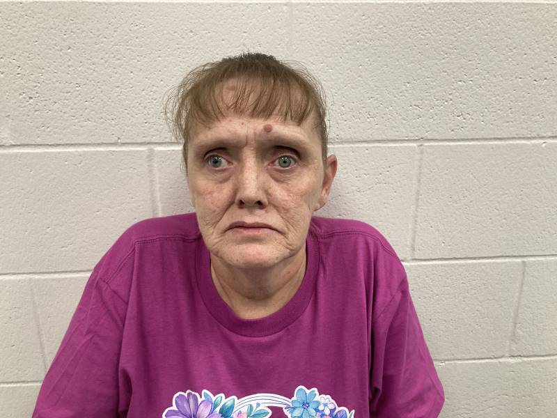 Booking photo of Debra Davis