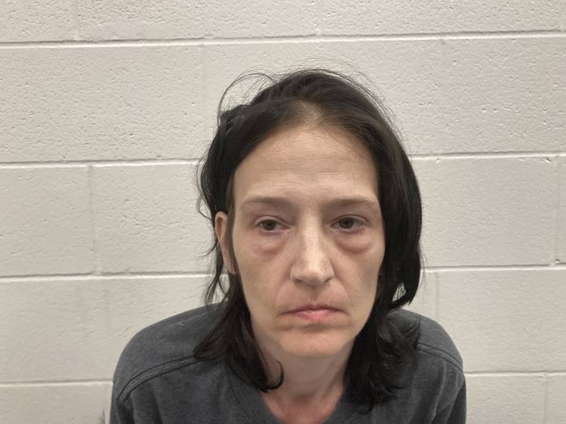 Booking photo of Nichole Baker
