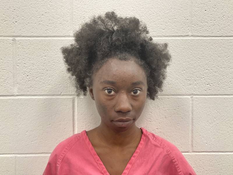 Booking photo of Ariel White