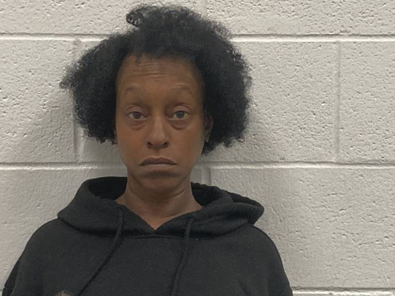 Booking photo of Tamara Tanner