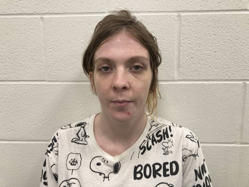 Booking photo of Haley Kress