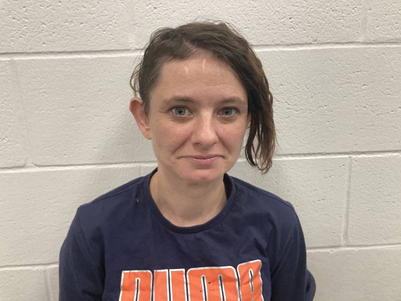 Booking photo of April Perry