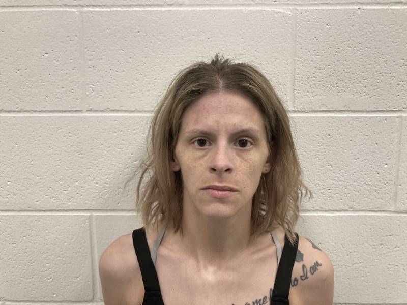 Booking photo of Brandy Barnes