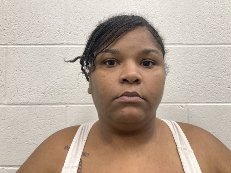 Booking photo of Brianna Johnson