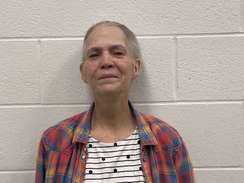 Booking photo of Cynthia Fryman