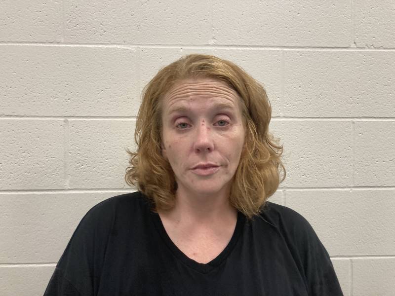 Booking photo of Lauren Bedford