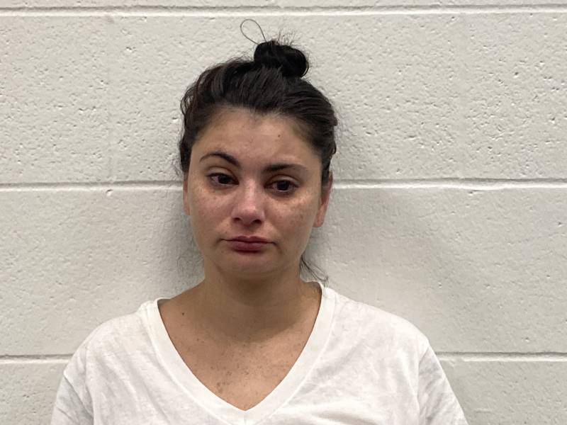 Booking photo of Andrea Romero