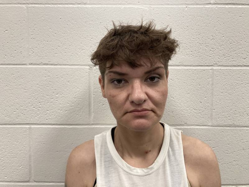 Booking photo of April Hicks