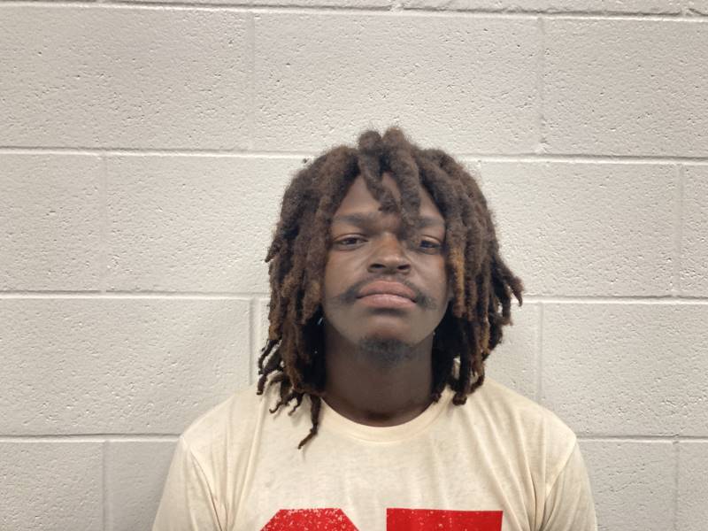 Booking photo of Louis Martin