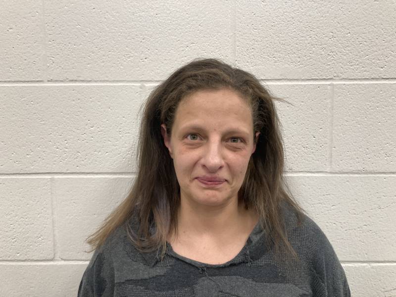 Booking photo of Ashley Manning