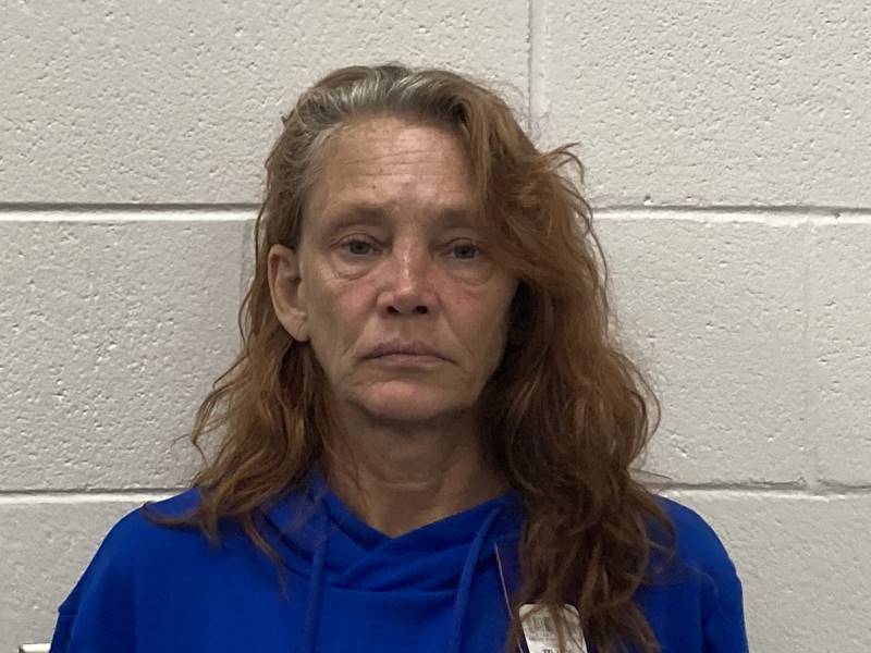 Booking photo of Carolyn Hulgin