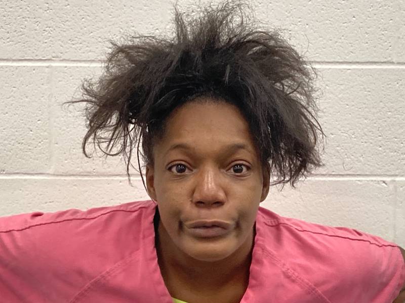 Johnna Miller booking photo