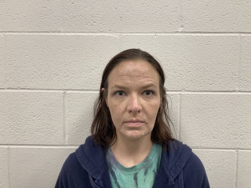 Booking photo of Beth Gibbs