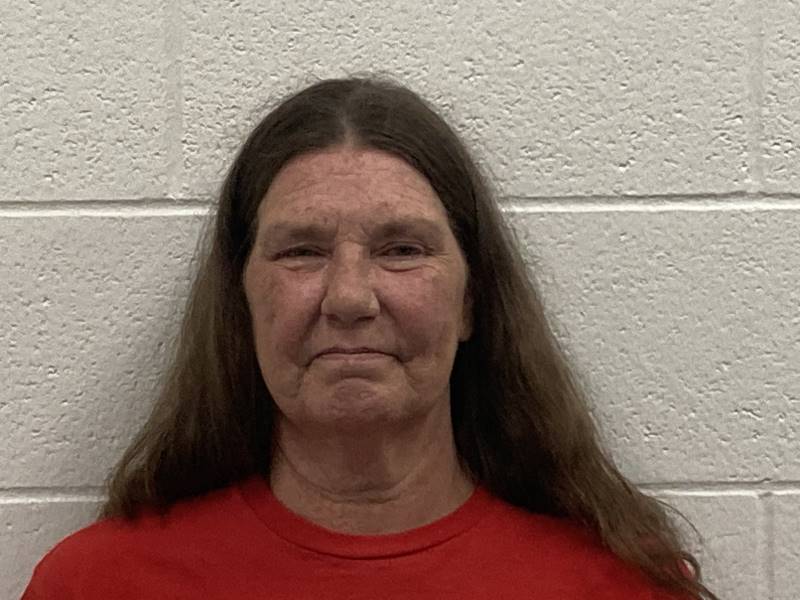 Booking photo of Colleen Wimmer
