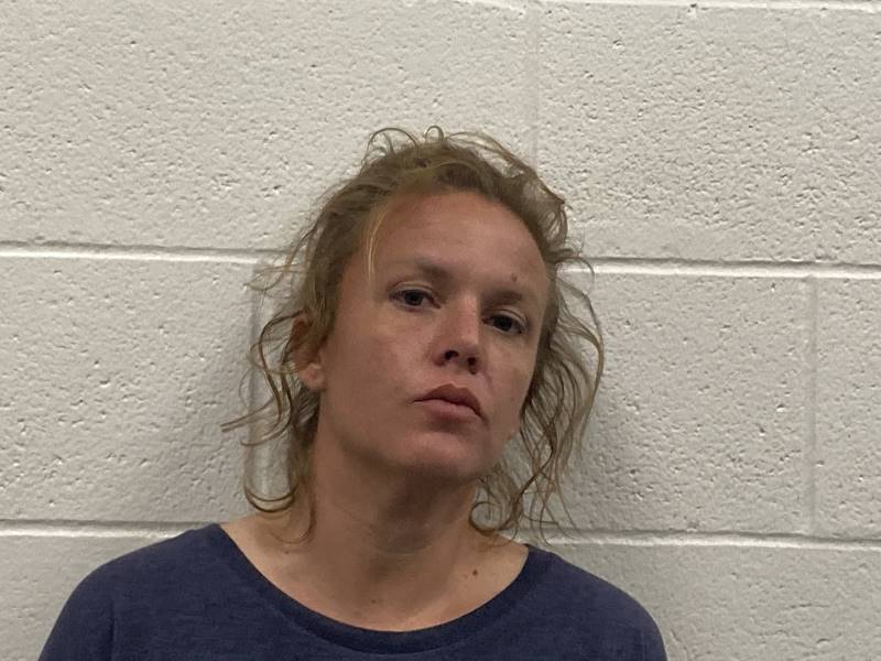 Booking photo of Natosha Roudebush