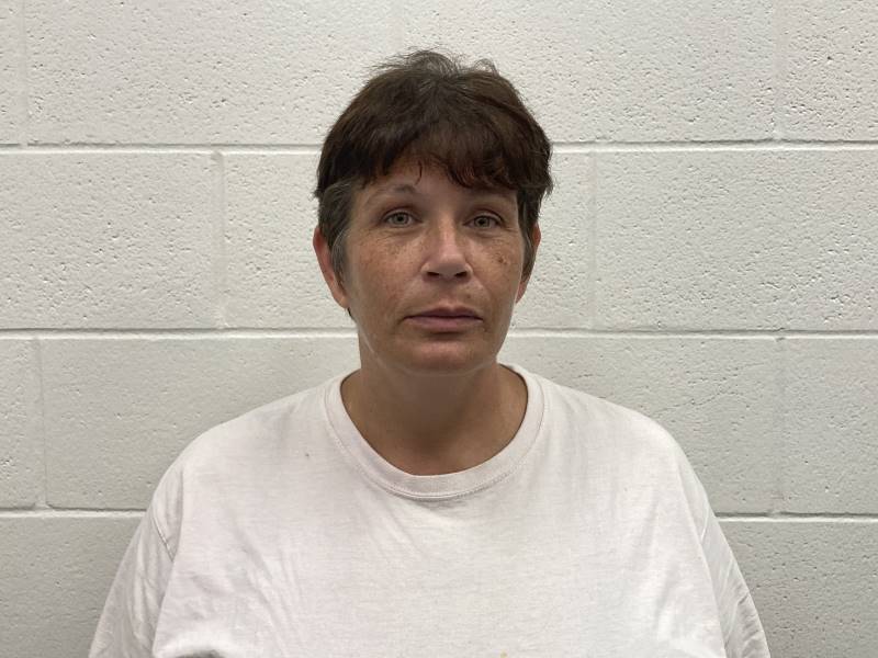 Booking photo of Tonya Inabnit