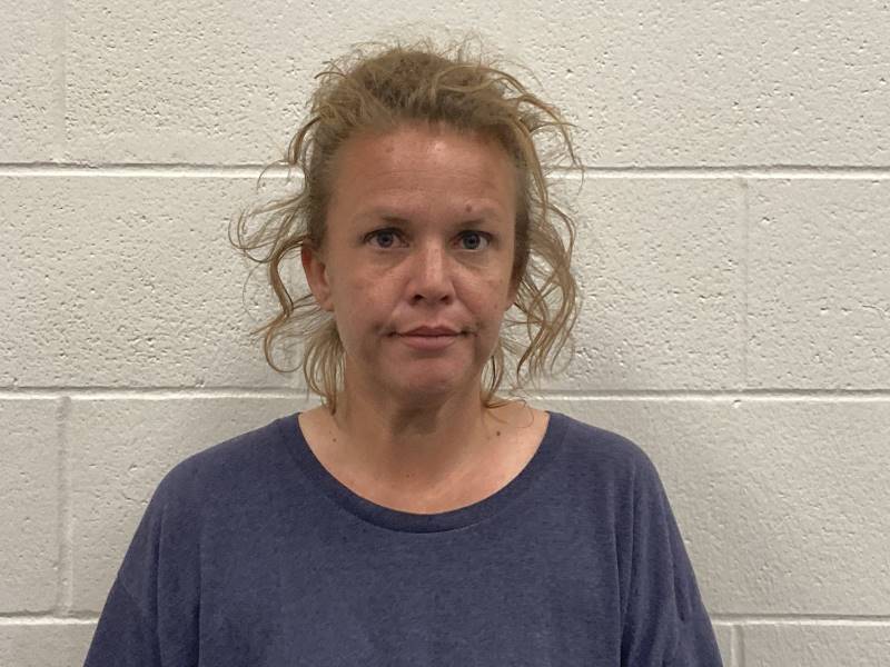 Booking photo of Natosha Roudebush