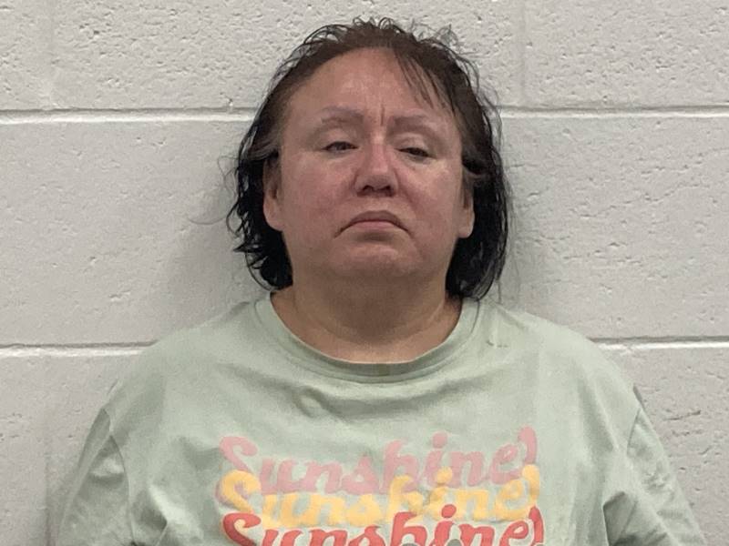 Booking photo of Rita Romero