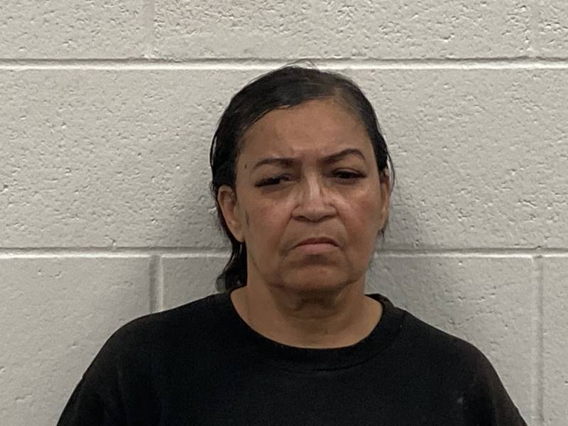 Booking photo of Sharon Wells