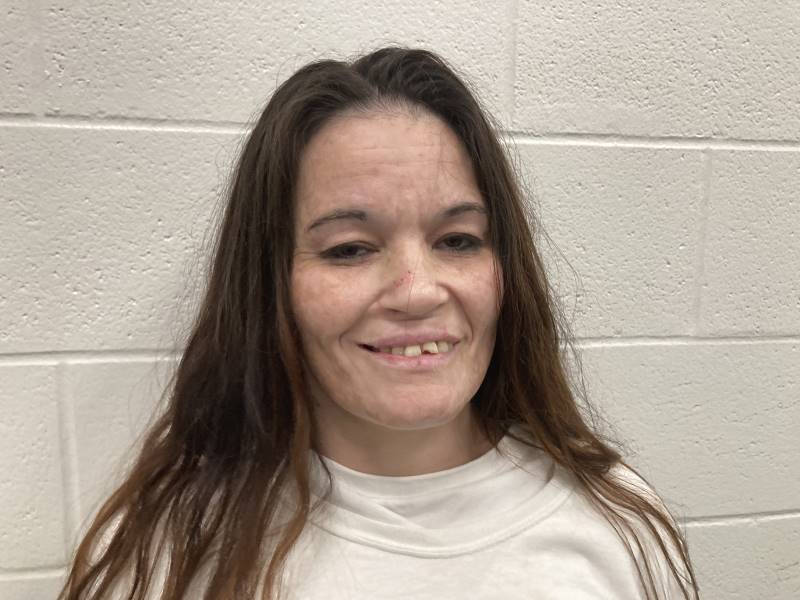 Booking photo of Amanda Herrmann