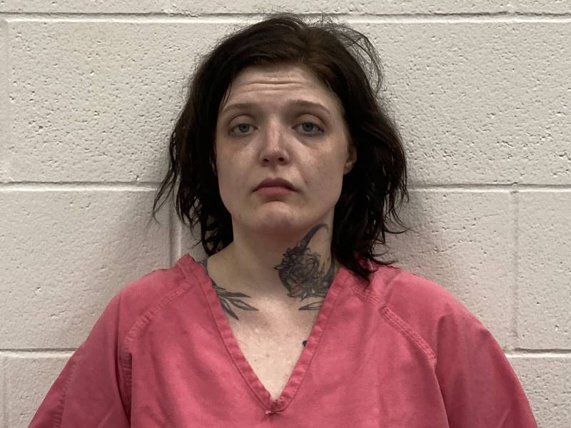 Booking photo of Jenna Meyers