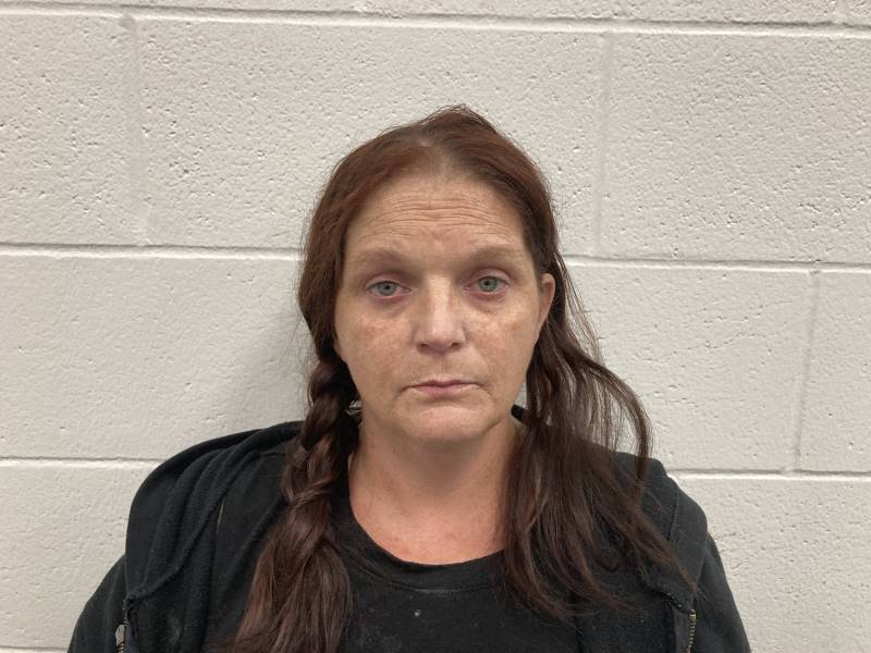Booking photo of Michelle Ohmer