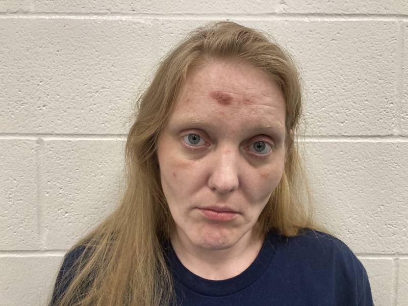 Booking photo of Megan Hensley